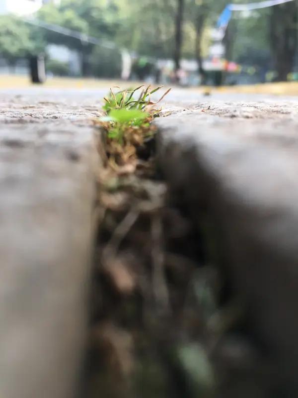 人这一生，大彻大悟往往在几个关键节点。
在最低谷时，顺境里笑脸相迎的人，到了逆境