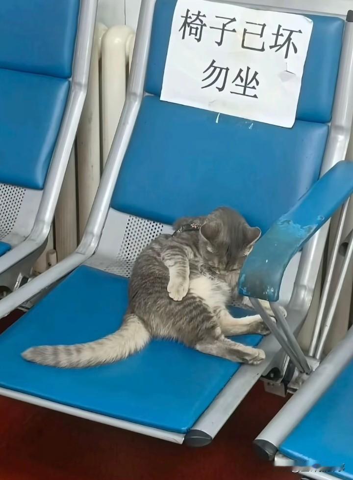 你识字不？