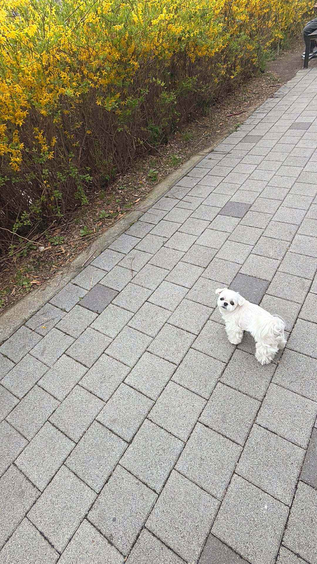 “CB百蓝_。260507利特 ins story更新： 