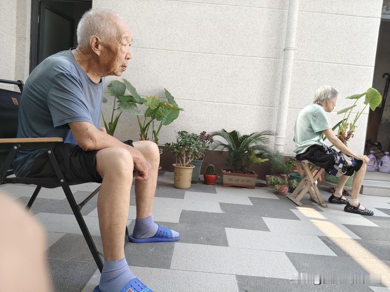 今天上午，与爱人一起看望岳父岳母。

老人家都80多了，一直居住在乡村。城里住不