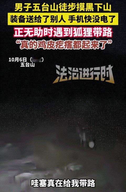 “太有灵性了！”山西五台山，男子徒步摸黑下山，怕走不出去。突然遇到狐狸给他带路，