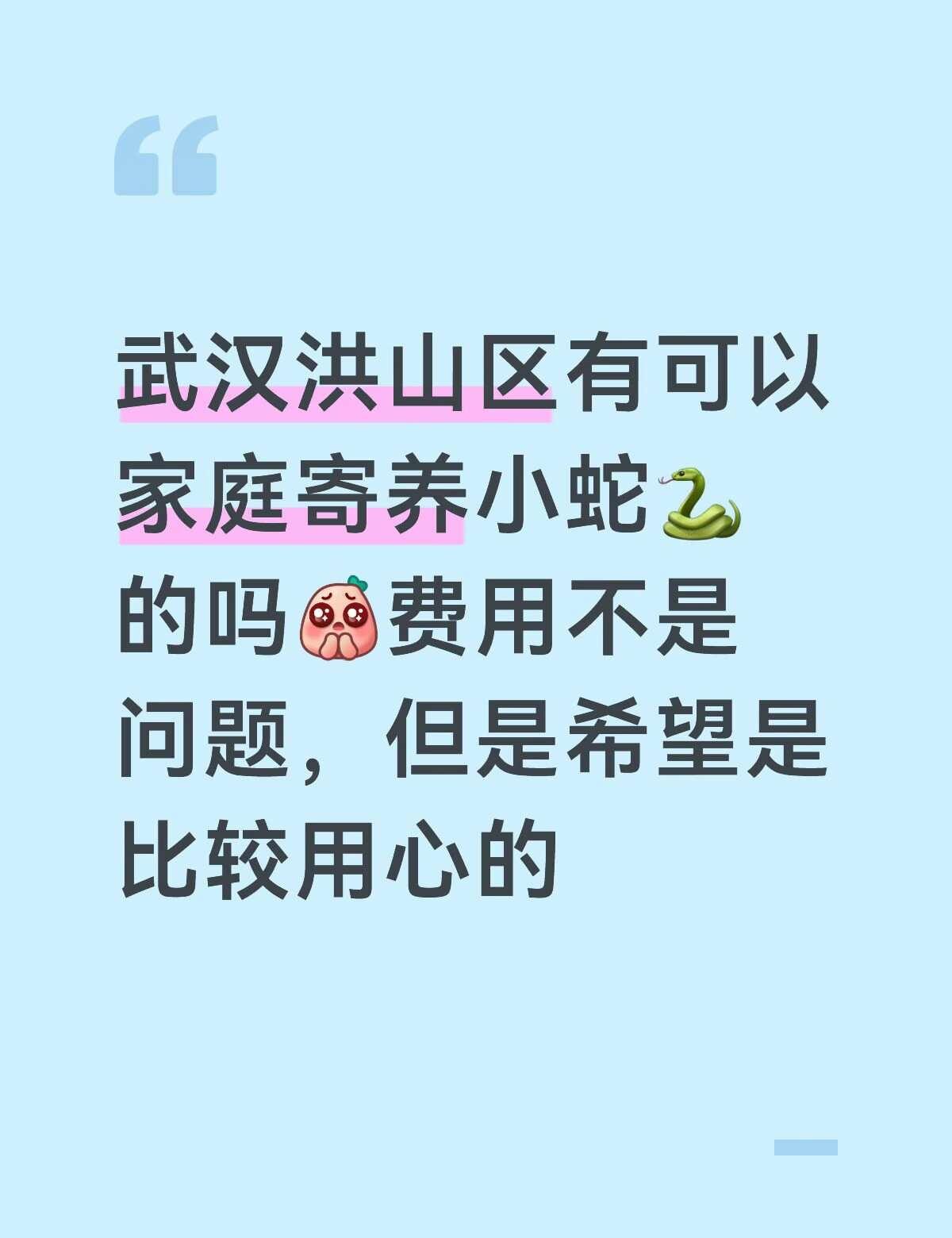找武汉洪山区异宠寄养
之前有考虑爬房寄养，但是我的小蛇是属于比较爱活动的，待在爬