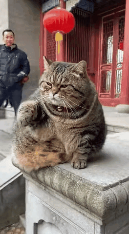 今天上班又委屈了？