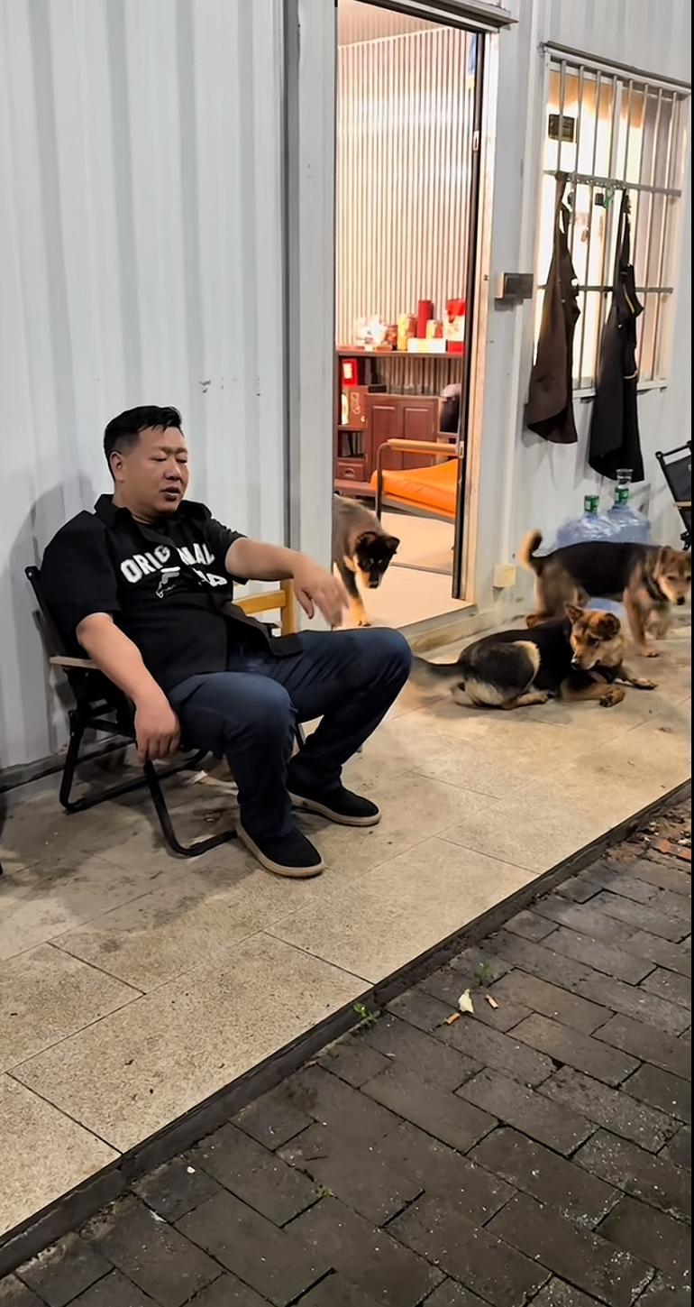 张大炮和自己几条狗一同休息，身边没有一众徒弟和学员。炮哥发这条视频的用意不言而喻