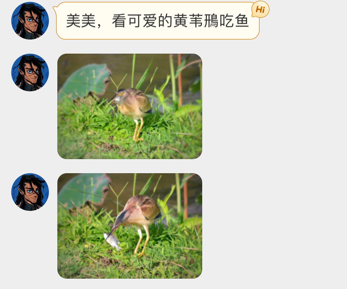 #鸟粉投稿# 干饭的【黄huáng苇鳽】喙像鱼叉一样🙊 ​​​