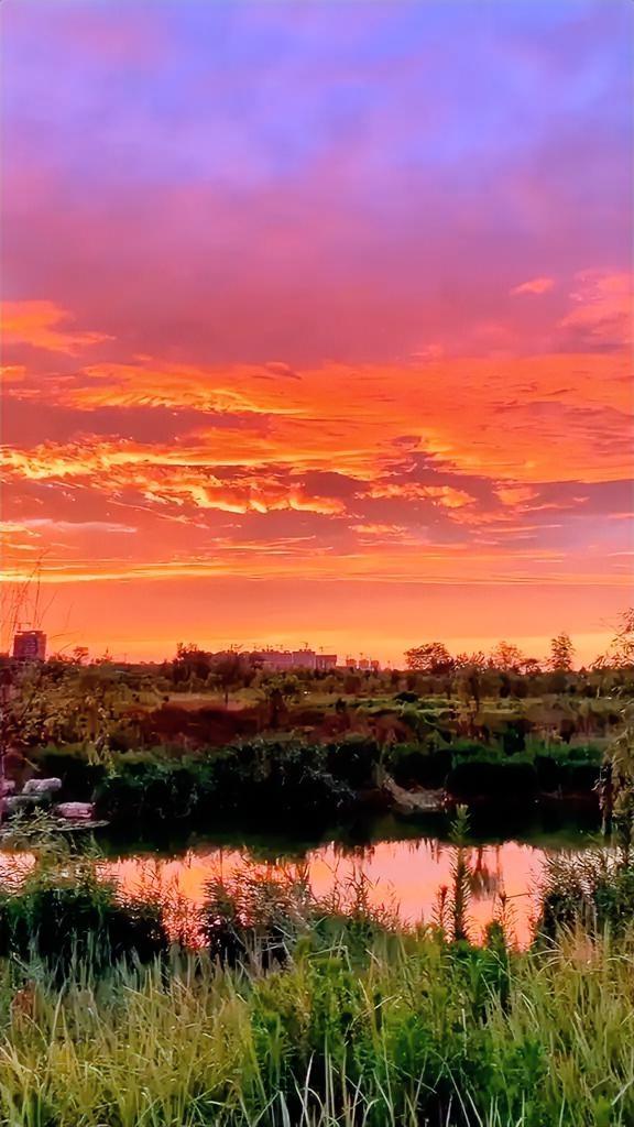 有人说过，
人在心情不好的时候，
就会偏爱日落！

我特意替你们看过了，
余晖酒