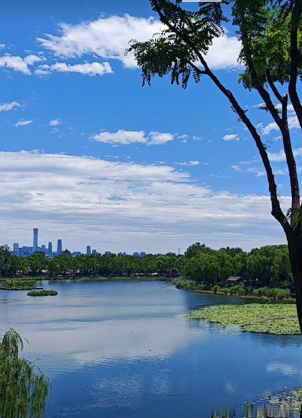 日子真是不经过，不知不觉就将6个月过没了。这半年过得还不错。去了想去的地方，看了