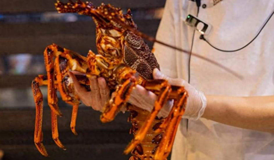【英国禁止活煮螃蟹龙虾：福利改革下的利益碰撞】英国政府将活煮螃蟹和龙虾列为禁止行
