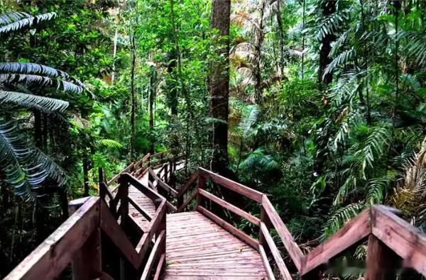 【财富晚茶】今日股市收评：深指涨0.19%：林业三底反弹饰品杀跌导语：作者系《网