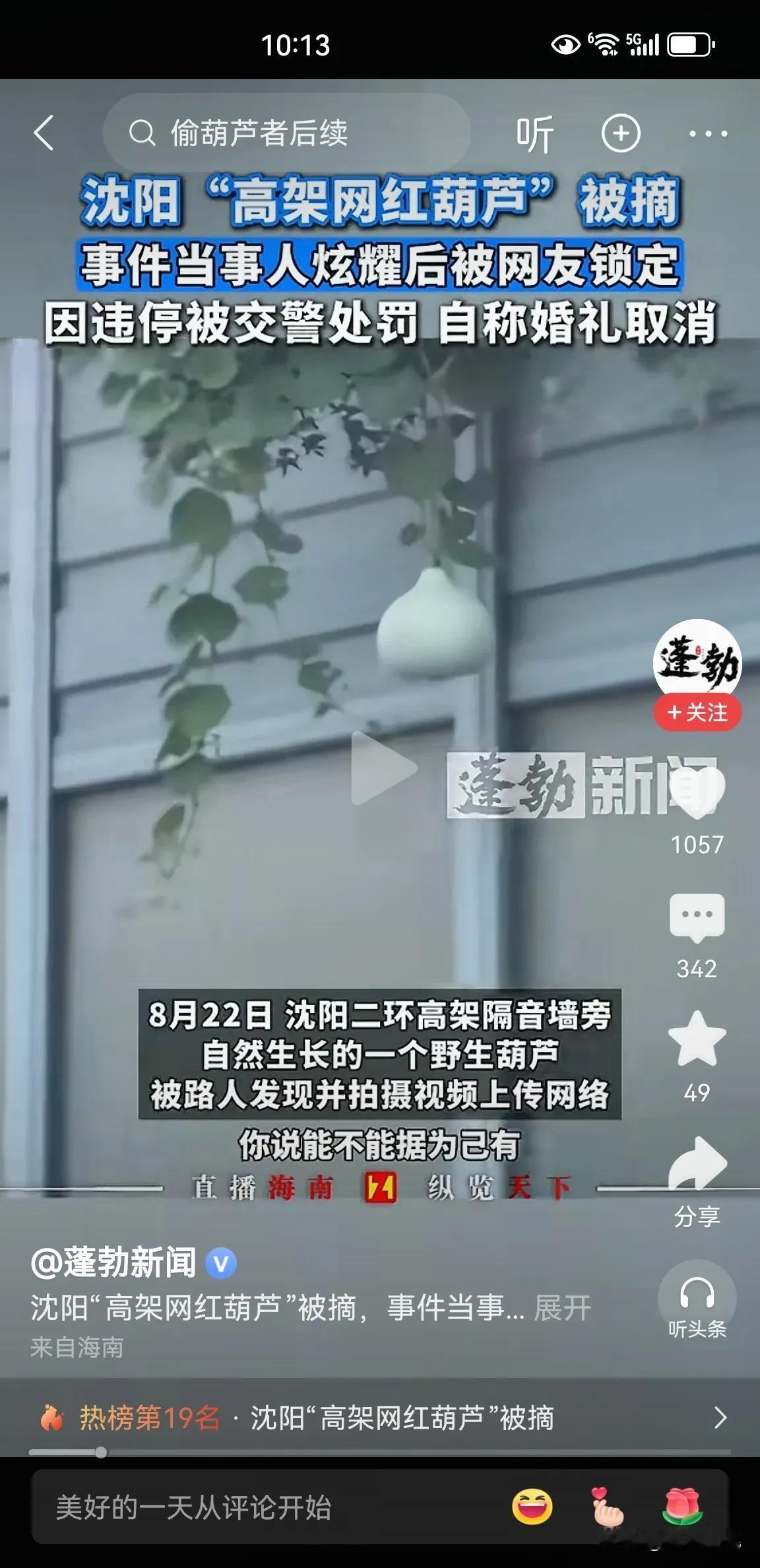 我在广西南宁，听说沈阳900万人没看住一个葫芦！

沈阳高架桥上的“网红葫芦”到