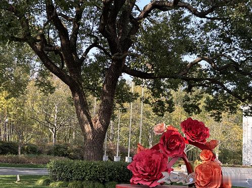 在讨论杨幂资源前景之前，让我们先理解资本对于艺人的偏好。 观察微博之夜的安排，C