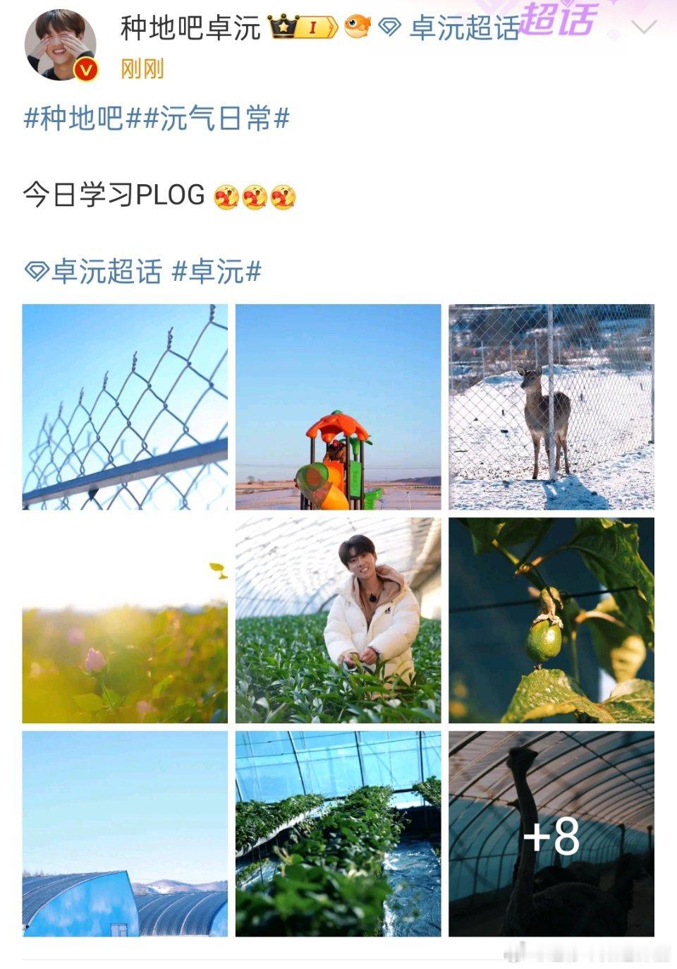 卓沅今日学习  卓沅今日plog     卓沅发了今日学习plog！太可爱了卓沅