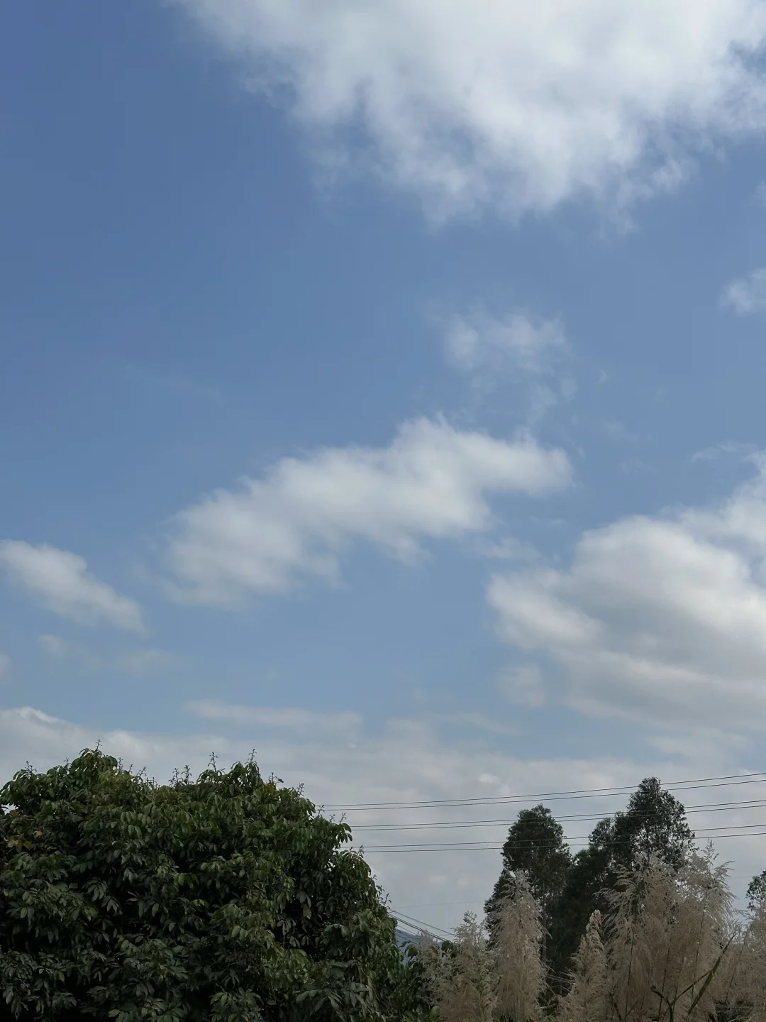 其实不谈恋爱的人才是最幸福的， 人在没有喜欢的人的时候是最轻松快乐的 ...