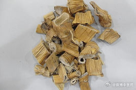 芦#每天一味中草药# 根这个东西很多，也很好，化痰排脓，对于咳嗽有痰或者没有痰的