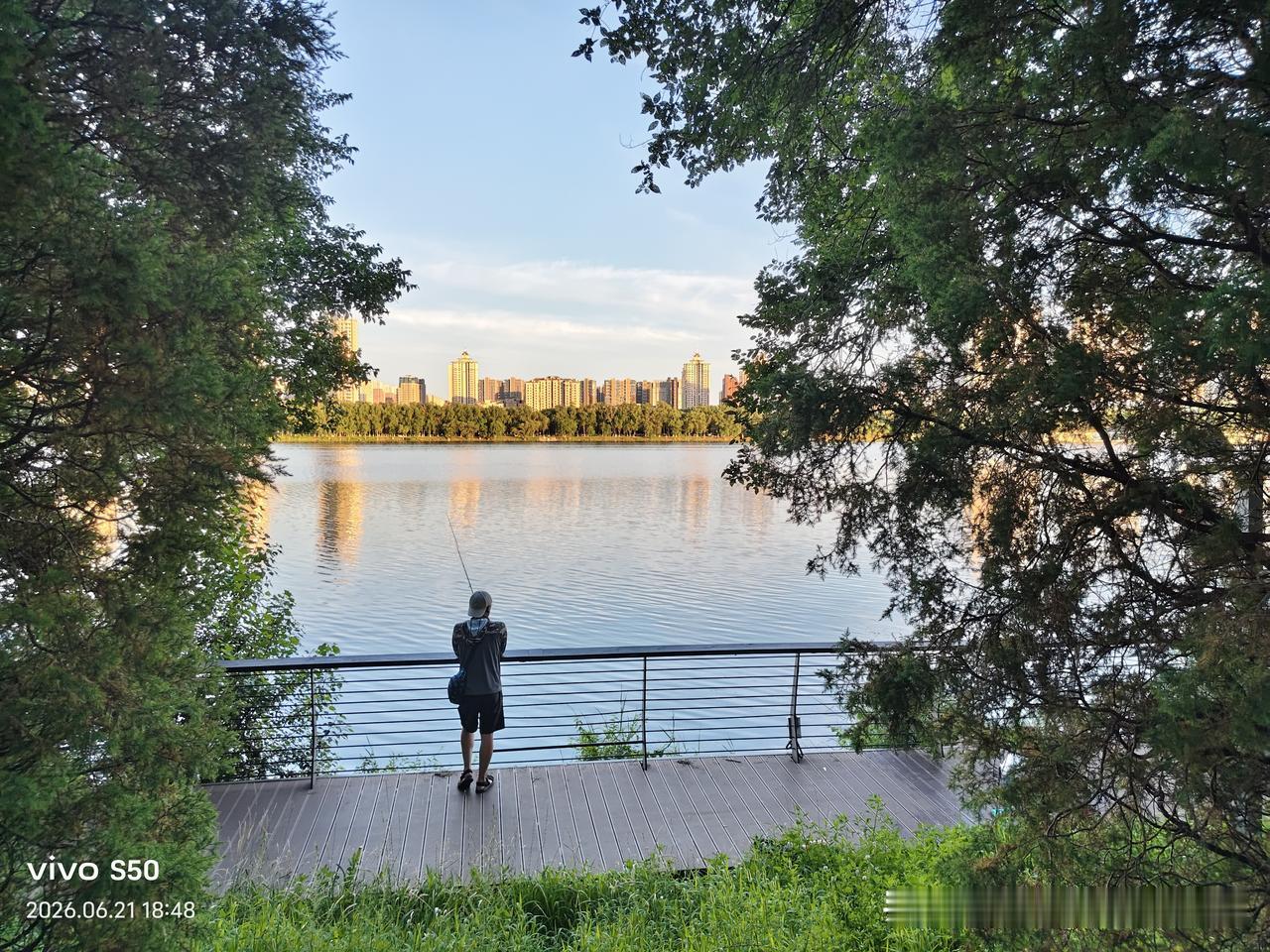 晒图笔记大赛夏至，金色的晚霞把沈水湾公园妆点的绚丽多彩，美不胜收!