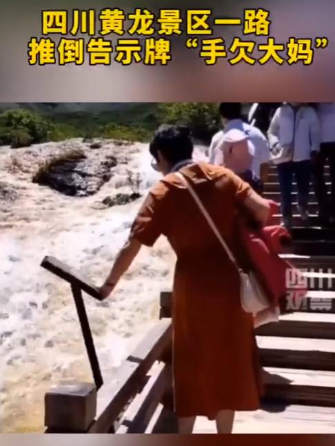 “这手也太欠了吧！”2020年一大姐逛旅游区溜达，瞧见道旁立着告示牌，她便上前把