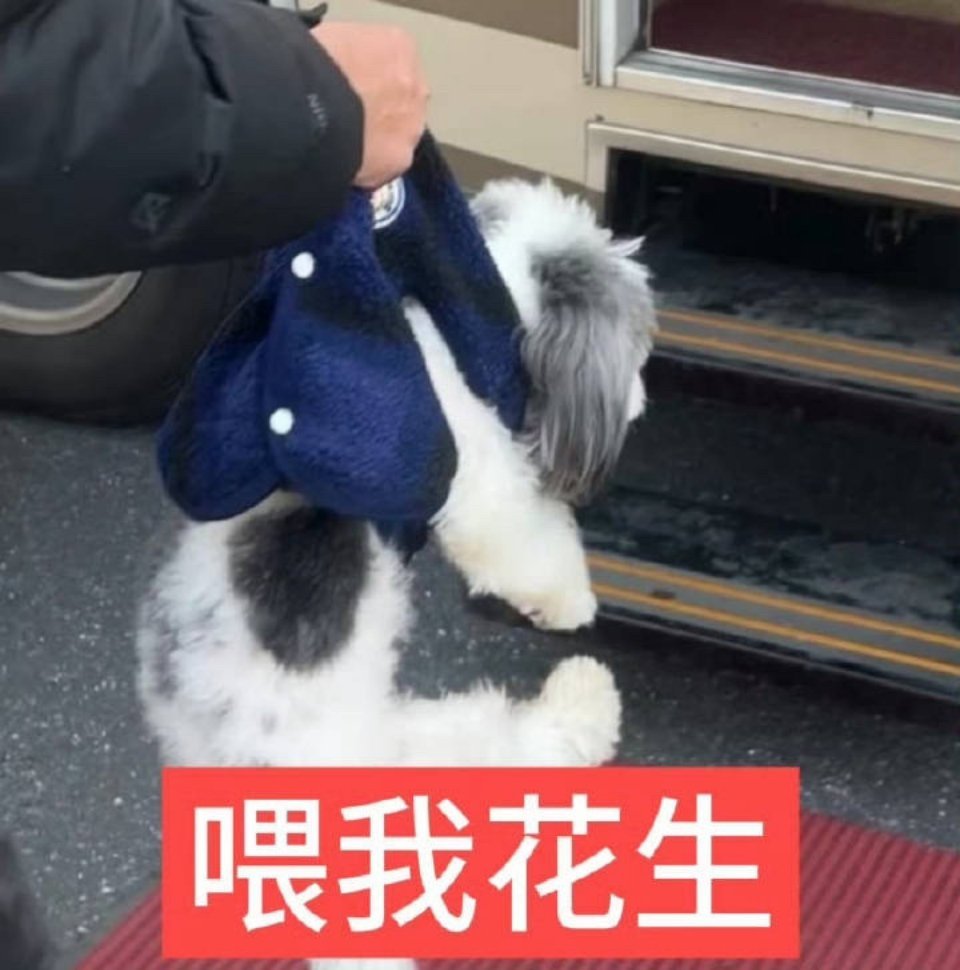 被某家丝缠上真晦气🧱➕🍎此条抽4个5.2🧧带常华森 夸夸常华森 
