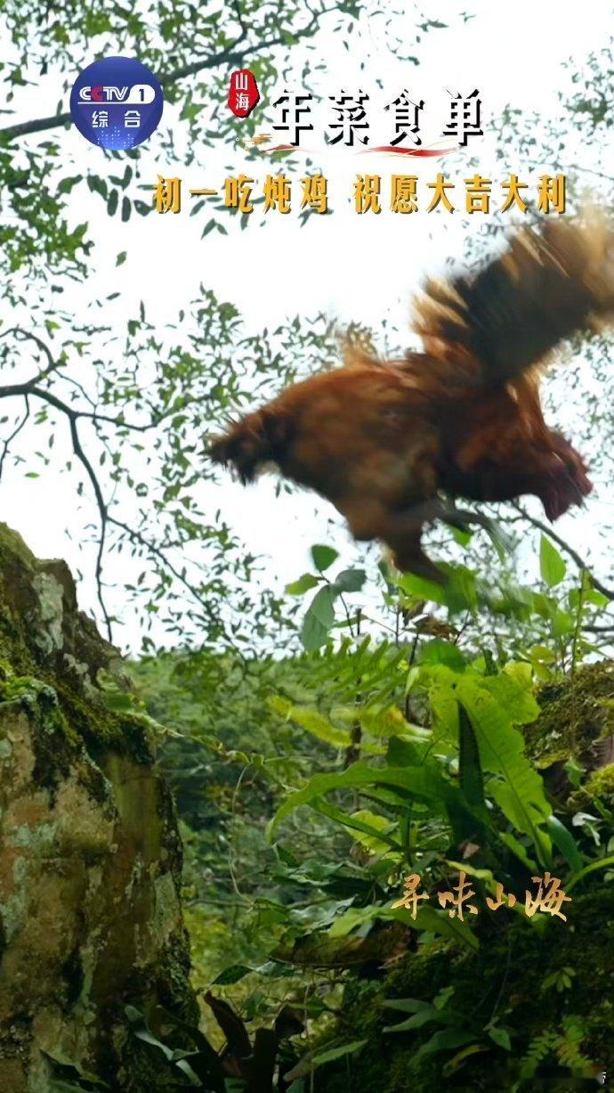 初一吃鸡新年大吉大利 初一吃螃蟹脚炖瓢鸡，好运一整年！鸡块煸炒金黄，加料慢炖出琥
