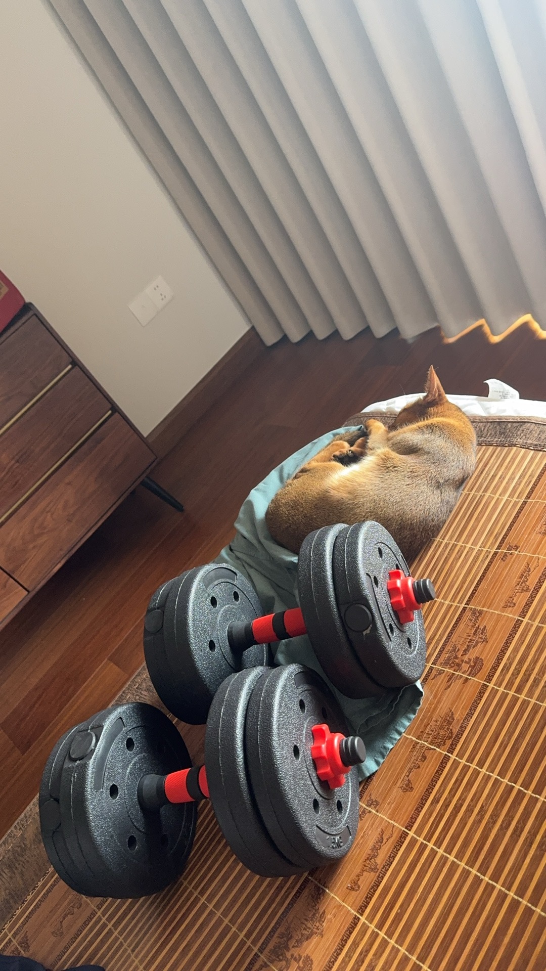 玛修健身完睡着了 ​​​