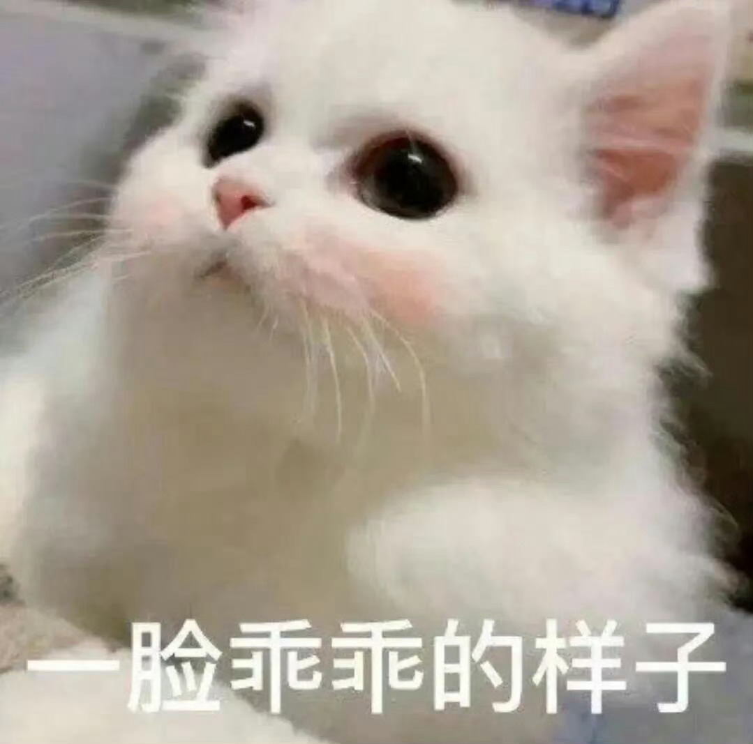 宝宝宝宝宝你到了吗？燥候这只咪[期待][期待][期待][期待]​​​