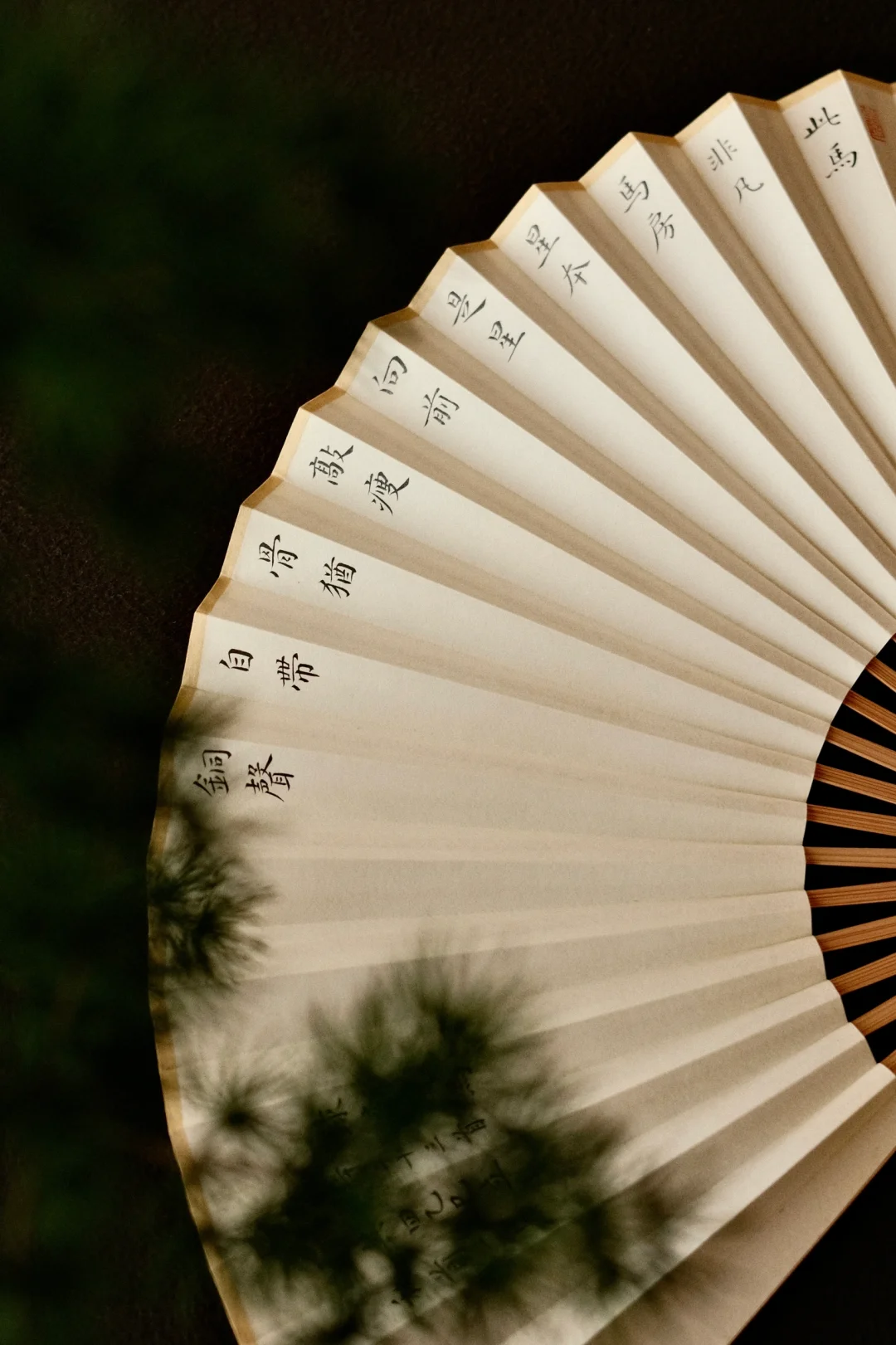 夏日写扇｜小楷的氛围感真的绝了！