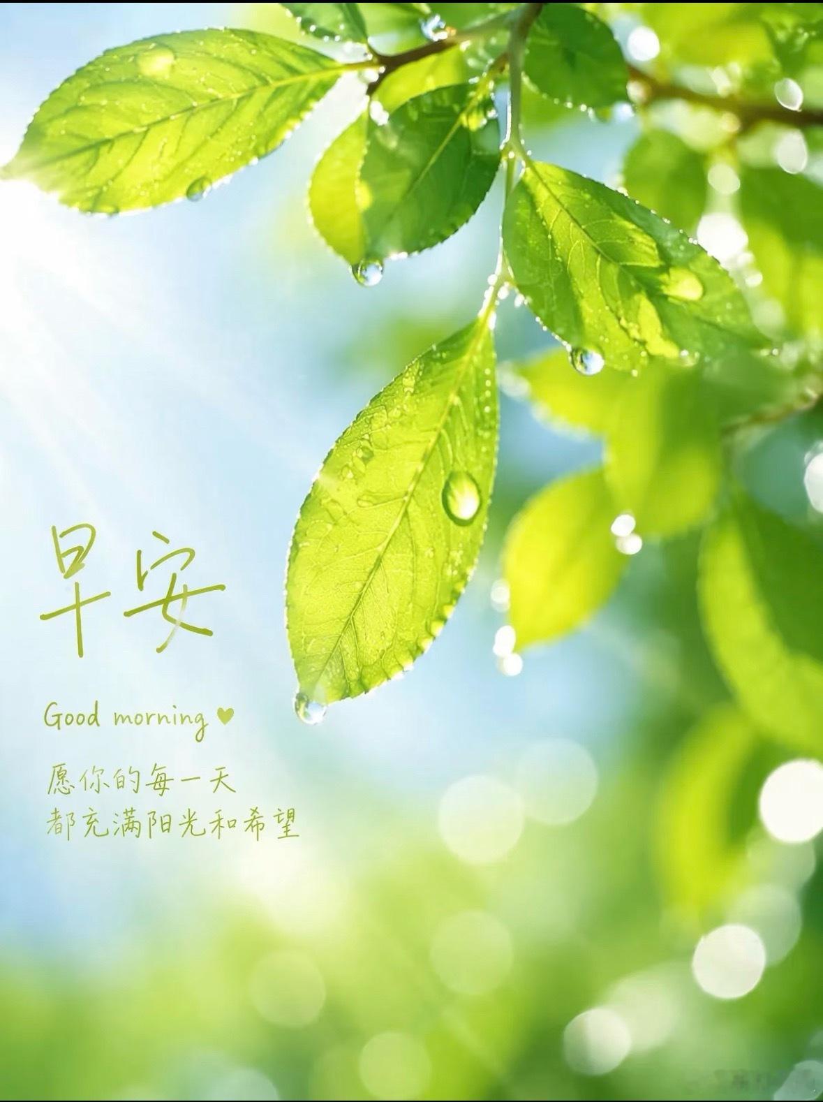 早安心语 正如丰子恺所言：“你若爱，生活哪里都可爱；你若恨，生活哪里都可恨；你若