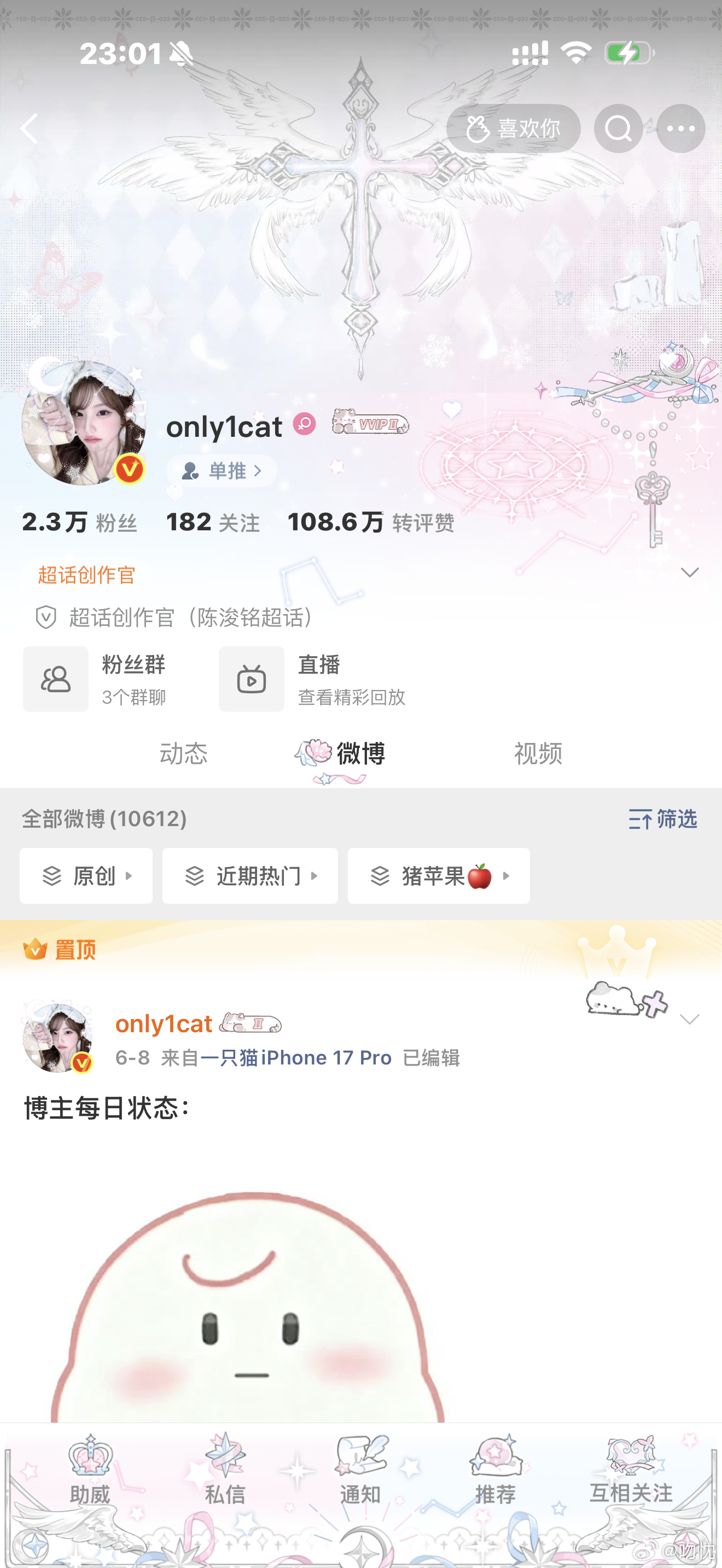 双胞胎