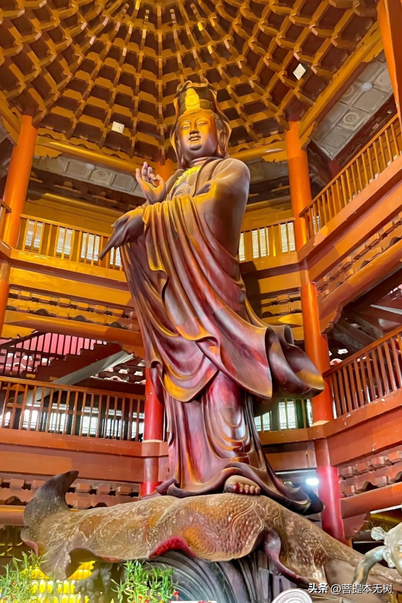 你见过国内最大的红木观音圣像吗？
它就在泉州南少林寺的观音阁里！
✅ 总高12米