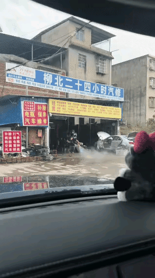 中华田园犬就是好养啊