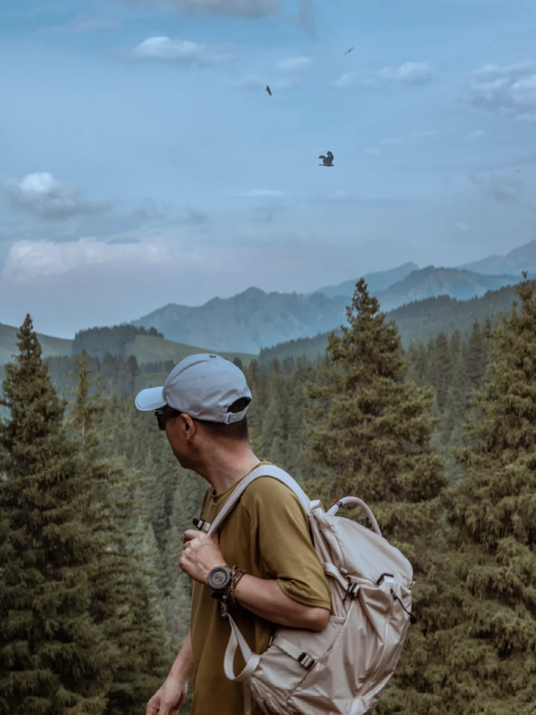 南山南，放慢脚步不可以错过的森系秘境