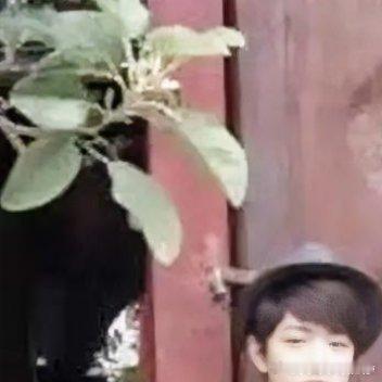 记者问肖战：“你大学读书时，是不是个安静的好学生？”肖战笑着摇头：“当然不是。”