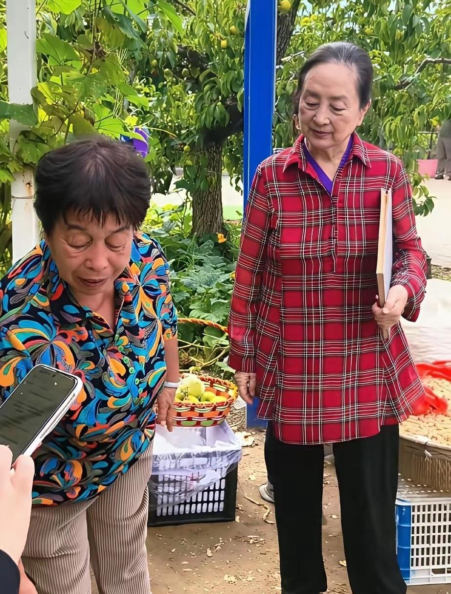谁能想到，当年北影三朵花之一的张金玲，如今也会像咱小区门口晒太阳的阿姨一样普通？