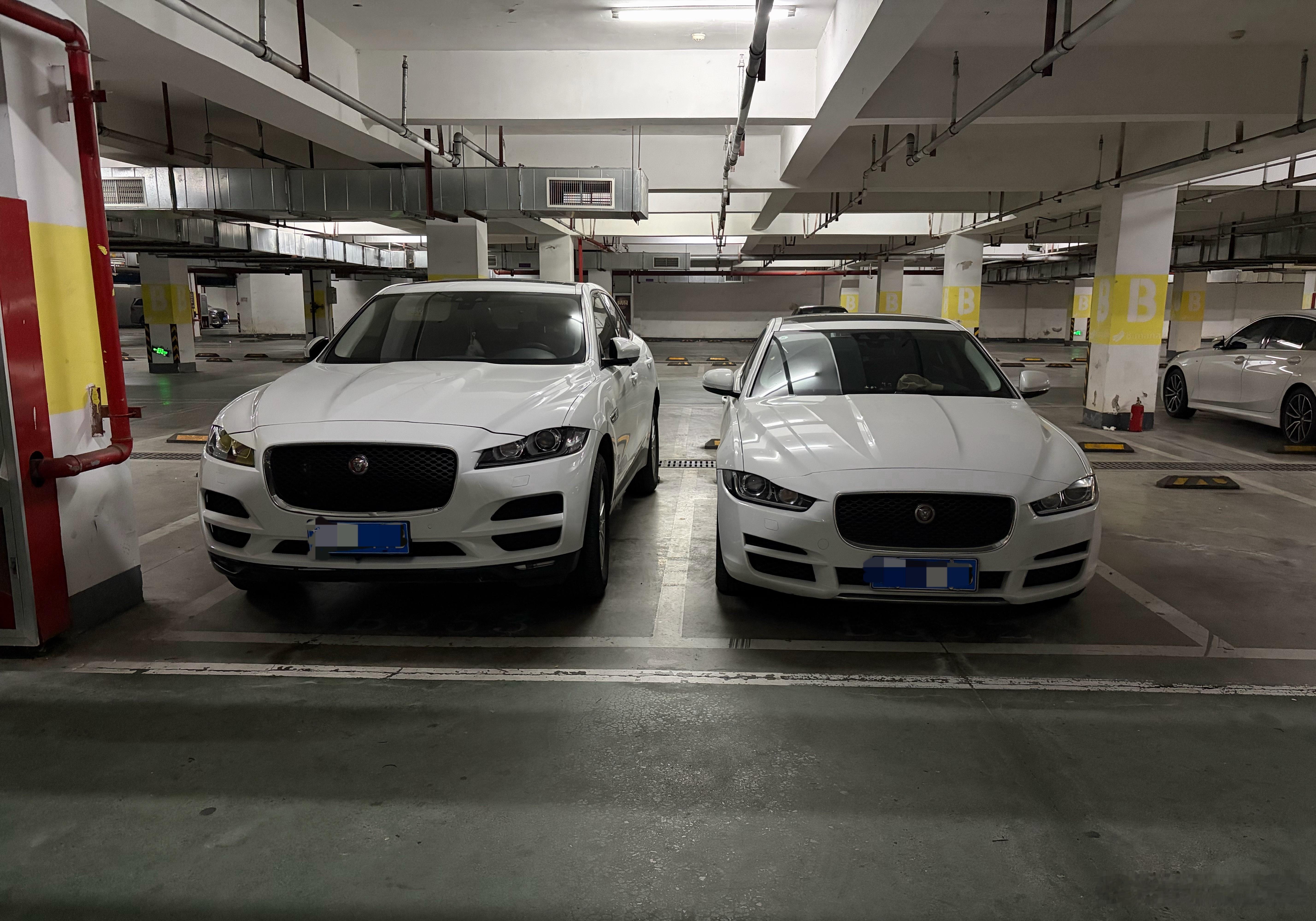 邻居的车，不知道是不是两口子