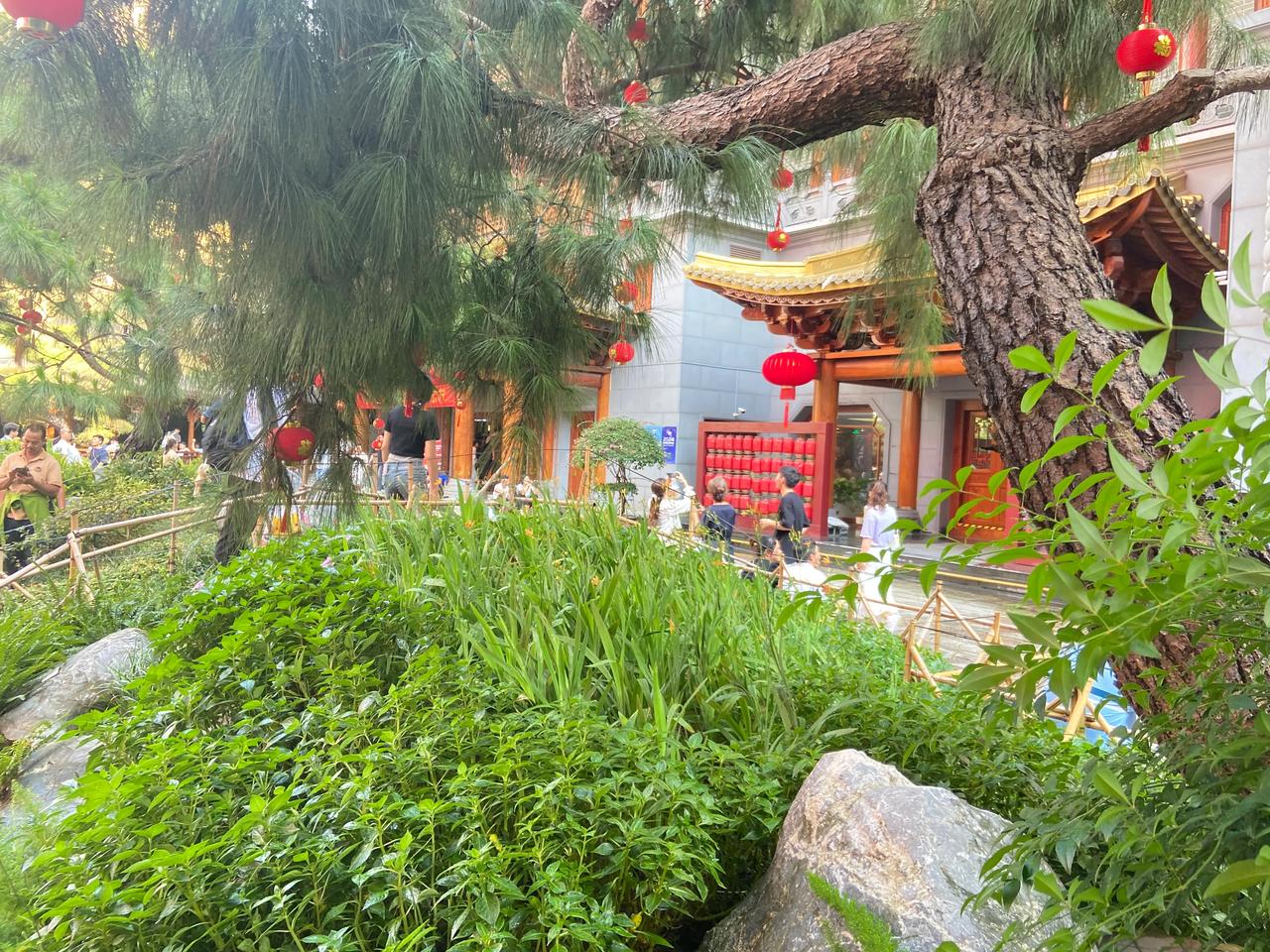 “土豆”用方言在你们哪里叫什么