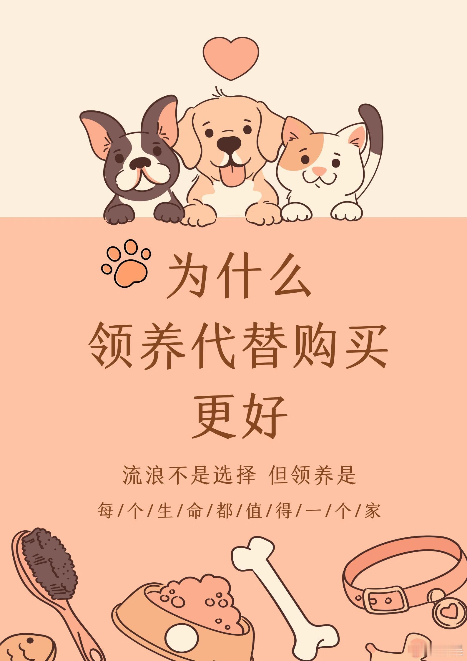 你支持领养代替购买吗有没有人也这样——路上偶遇一只小流浪，心里一软，却又不知道怎