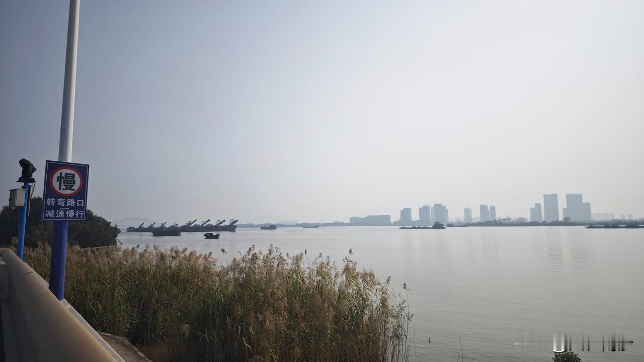 终于想通了？最近看到明珠湾上的沙船都变少了，江景视野立马就开阔好多了。基本上好多