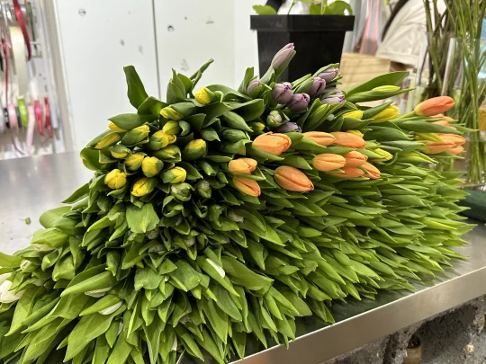 花店的小伙伴才懂得含金量