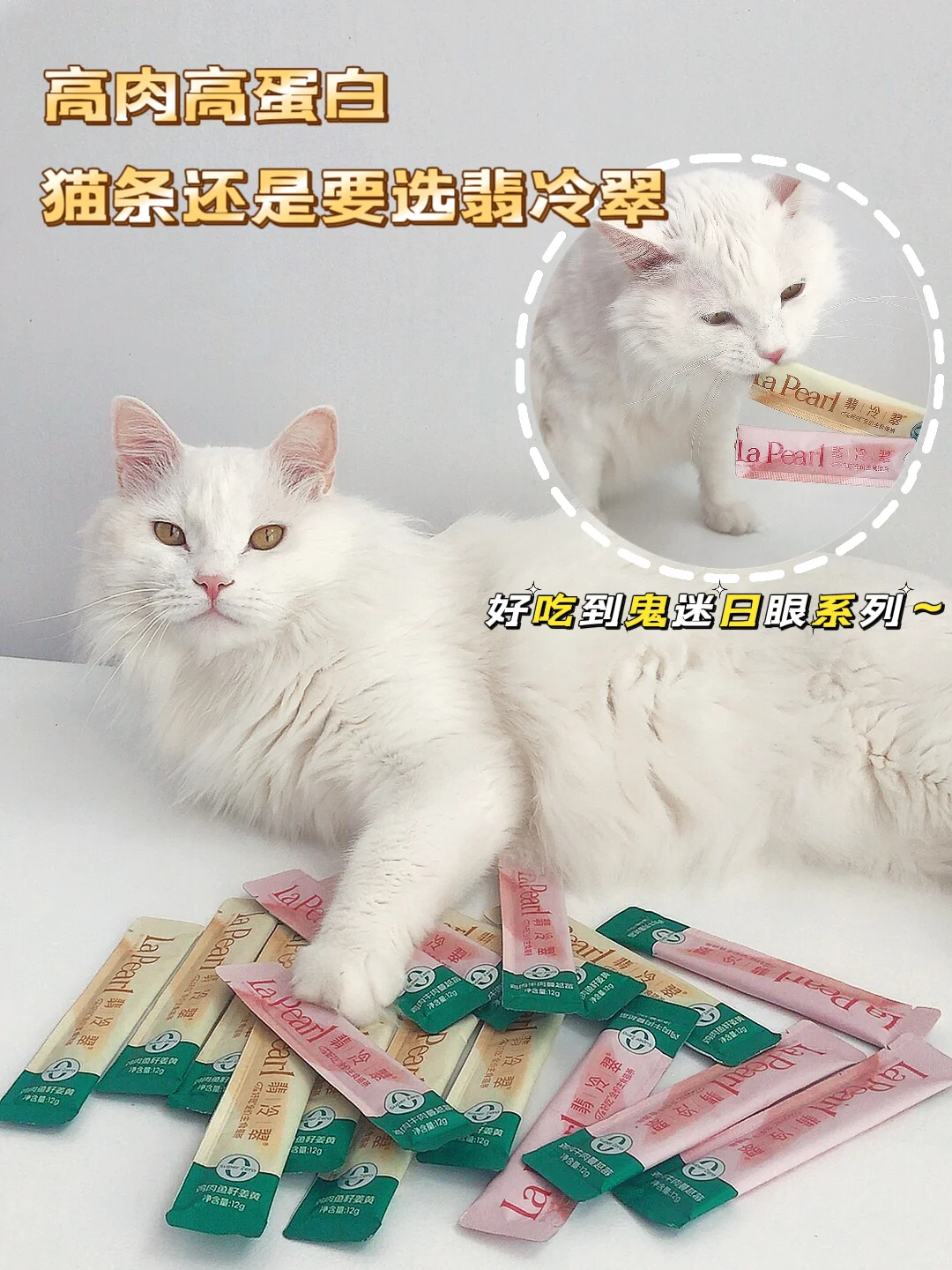 宝藏猫条，谁还不知道！