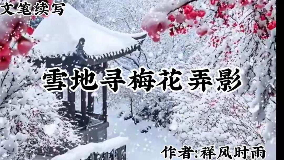 文笔续写：
雪地寻梅花弄影。
疏影横斜水清浅。