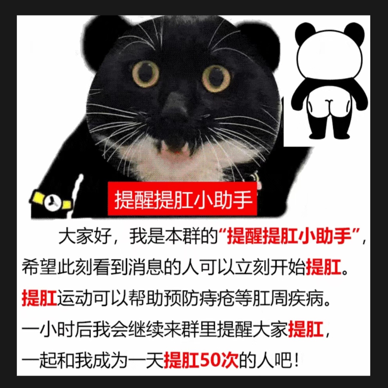 早～ET9群每天出现几十次的表情包分享给大家。 