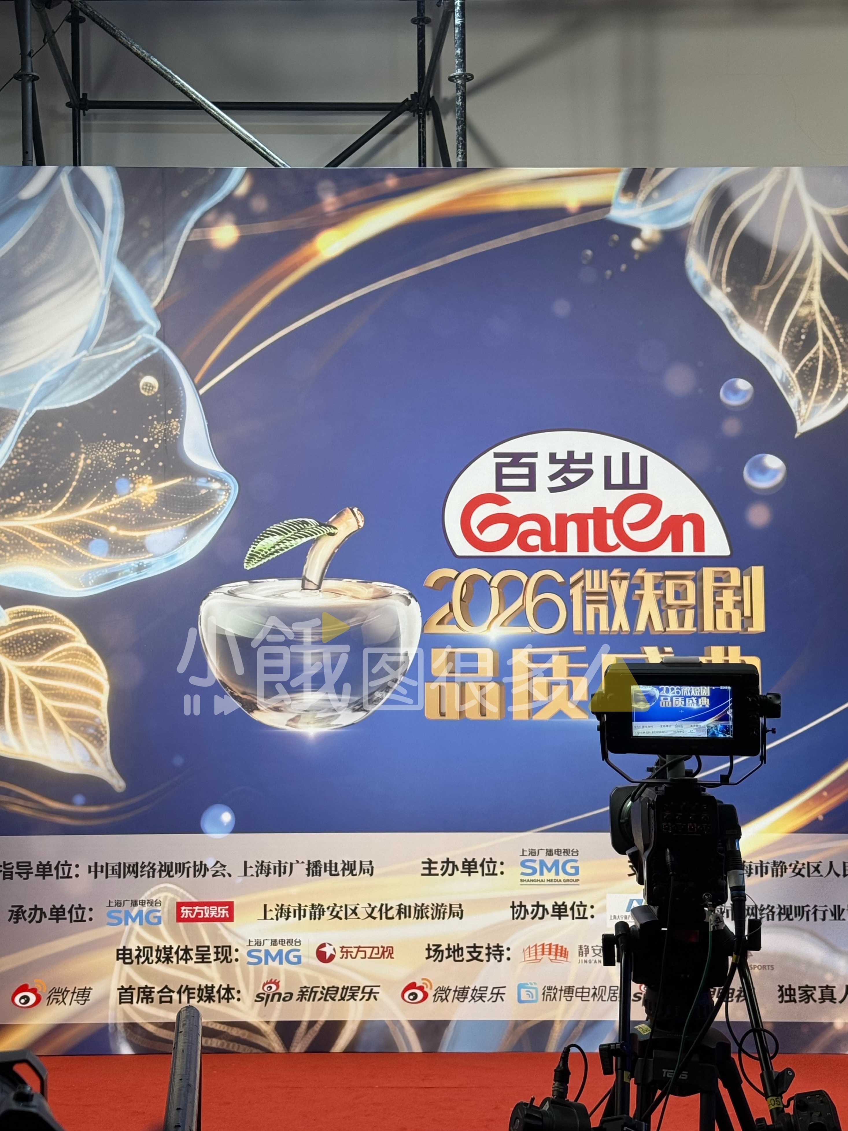 今天微短剧盛典红毯主持是刘萧旭