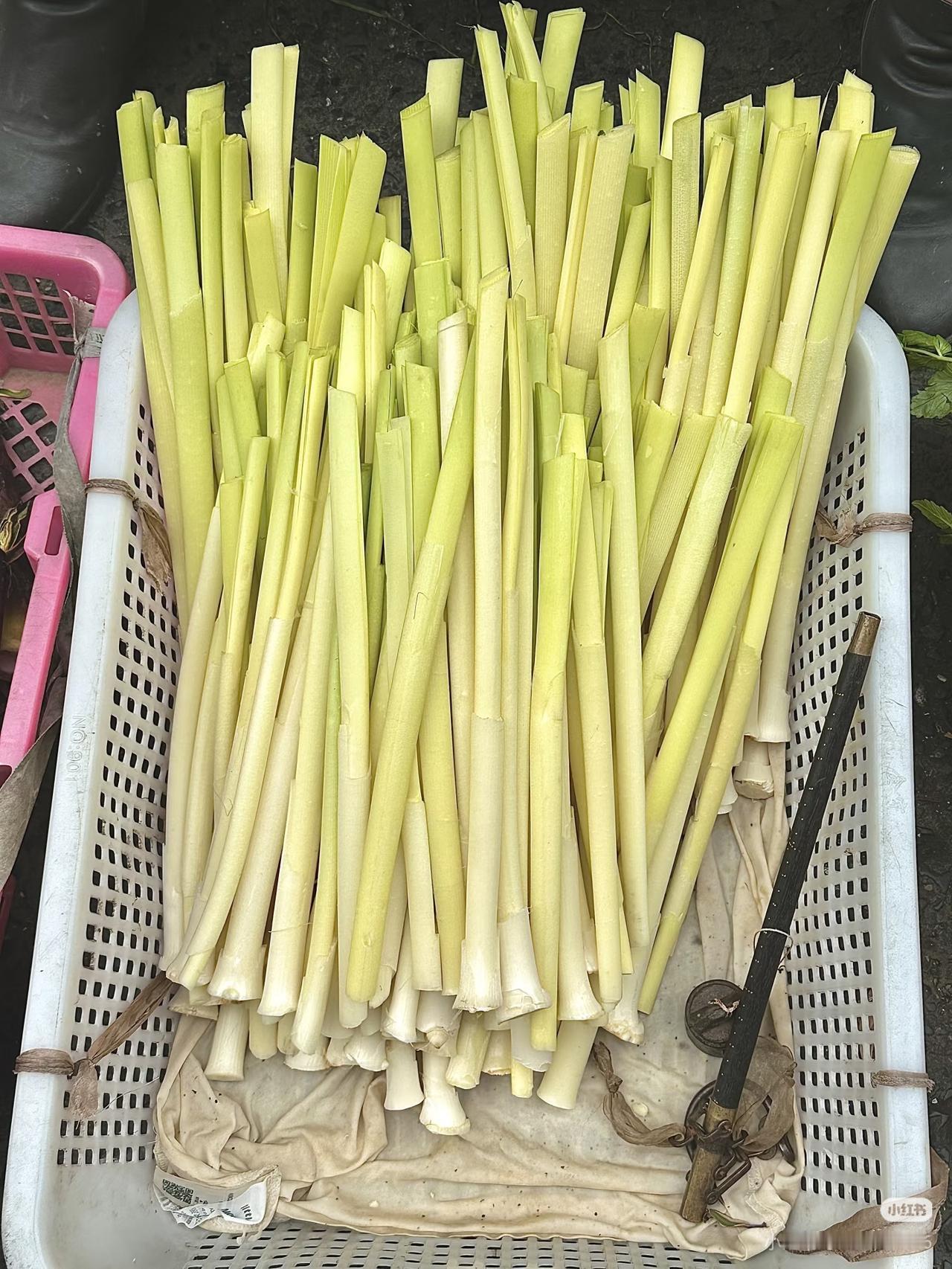 春天的美食来自田野！
朋友们：
请大家都来说说吧！

有谁知道这是什么菜？
怎么