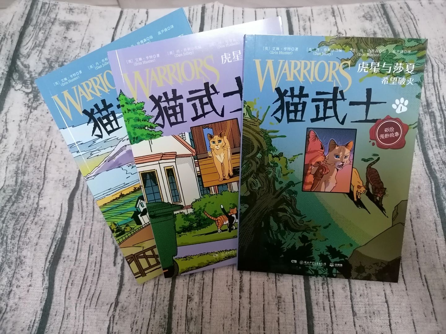 《猫武士》
作者：艾琳.亨特
出版社：湖南少年儿童出版社
	
《猫武士》这本书以...