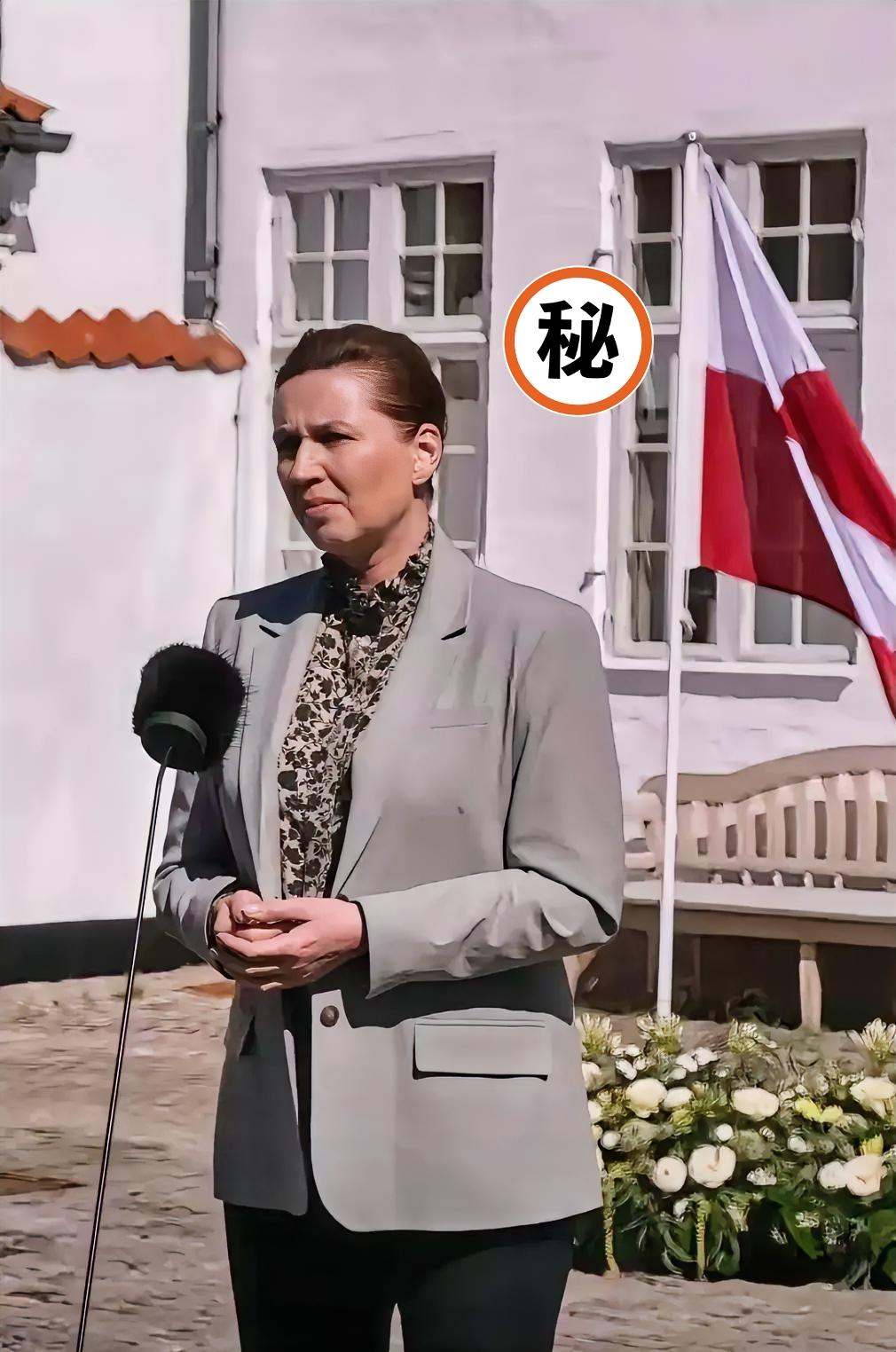 最近丹麦那边气氛紧张得不行。他们女首相梅特这几天嘴皮子都没停过，又是警告又是表态