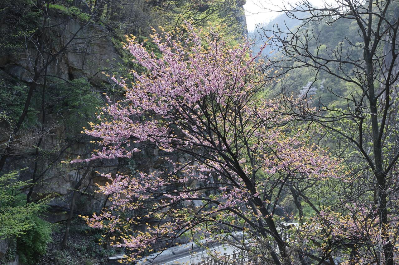 分享一张美丽的风景照片