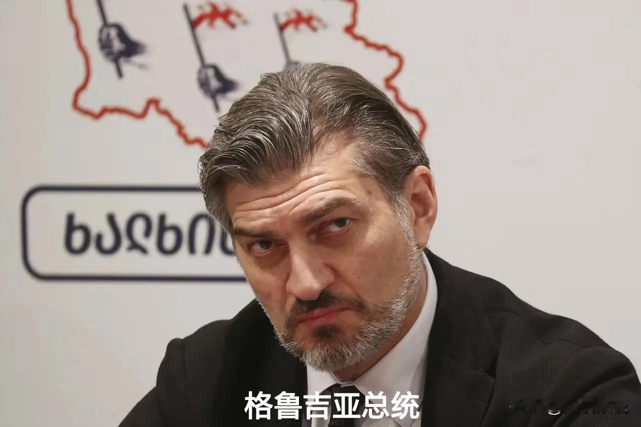 上过一次当，不能再上第二次当！
格鲁吉亚还是保持清醒的。
俄乌战争爆发后，美西方