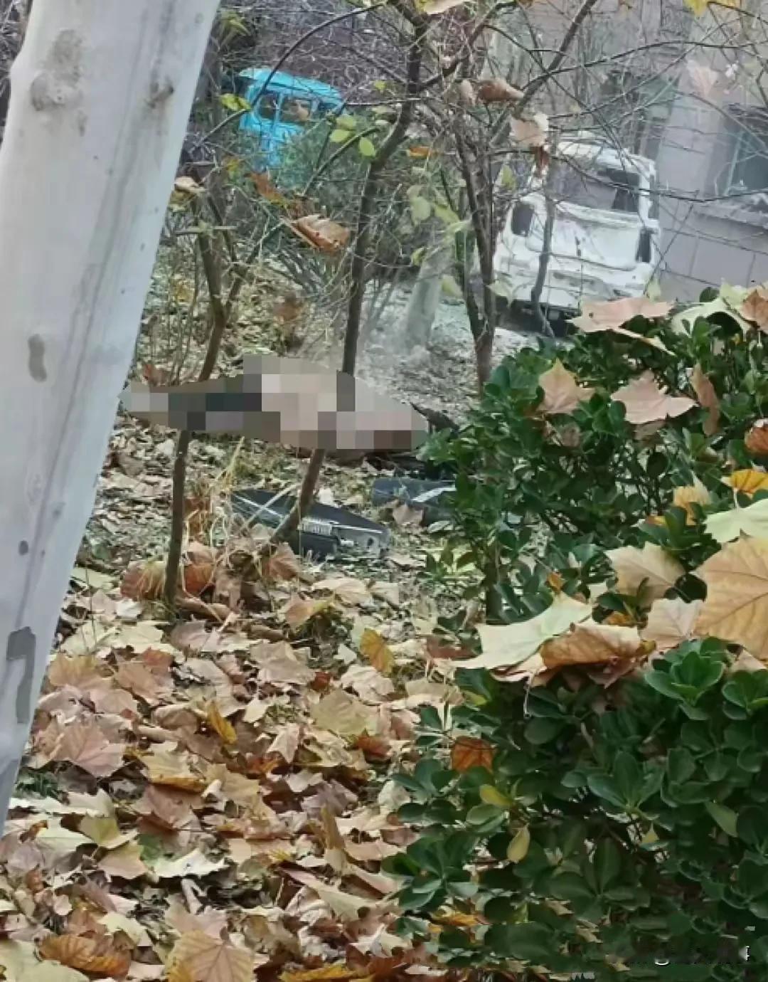 山东滨州小区烟花爆炸事故致1人不幸遇难
2024年11月23日8时06分，山东滨
