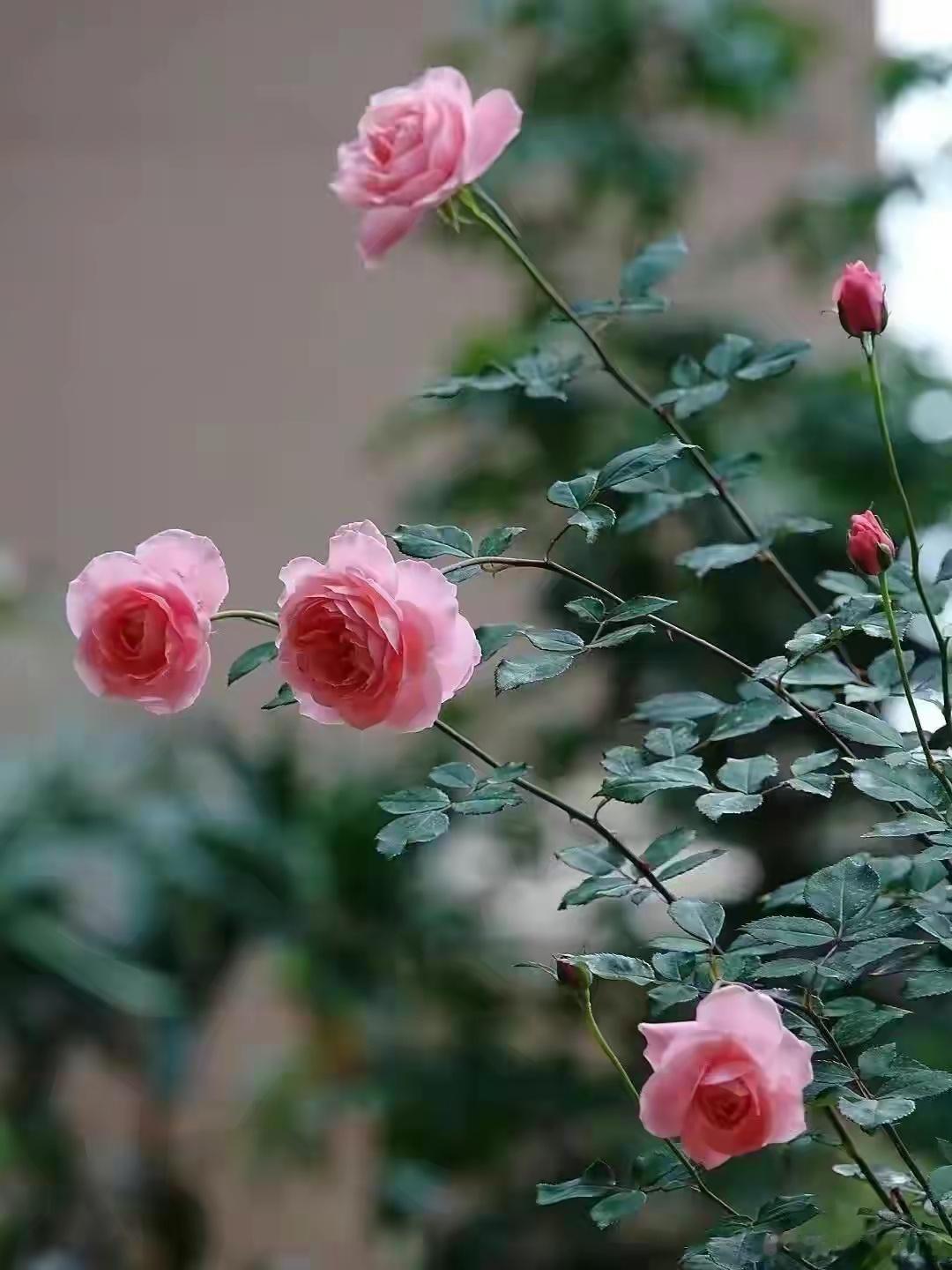 警惕：出现这5个信号，多半是血糖失控了！​1、睡觉饥饿难耐​糖友晚上睡觉时饥饿难