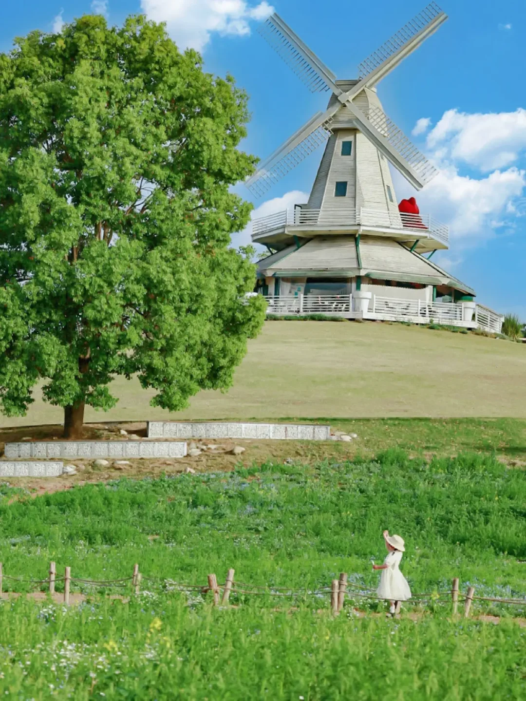 成都遛娃✅｜只需0.5h就可到达宫崎骏的夏天~