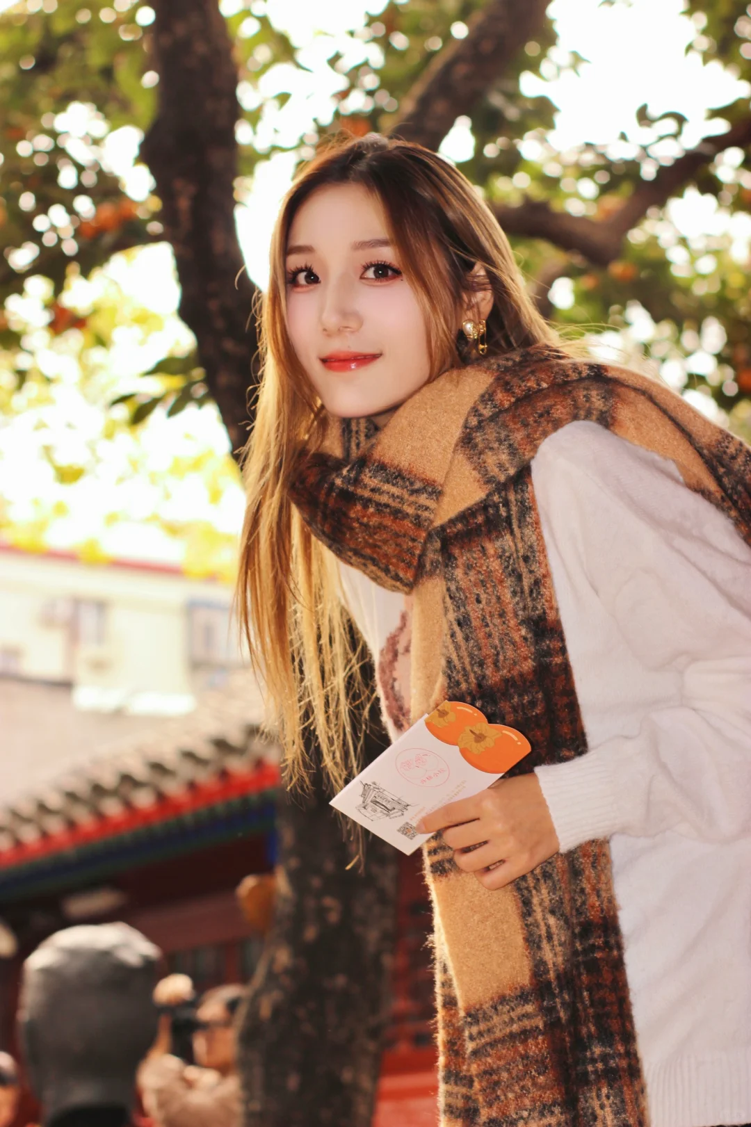 老舍｜为了这颗柿子树，我专门飞了趟北京🍂